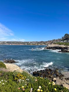 the ocean is full of rocks and flowers