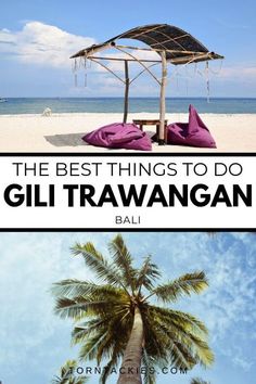 the best things to do in gil trawangann, bali and other tropical destinations