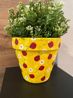 a potted plant with ladybugs and daisies painted on it sitting on a table