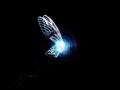 a butterfly flying through the air with its wings spread out and glowing in the dark