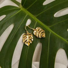 December Goddess Box is a special one! We created a one of a kind Monstera Leaf Gold Earring Earring is 1.5 inches long and lightweight Perfect for everyday island style living 14kt Gold Plated See all the past boxes here Jewelry Photos, Special One, Island Style, Gold Earring, Monstera Leaf, 14kt Gold, Photo Jewelry, Gold Earrings, Gold Plate