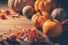 size: 12x8in Photographic Print: Pumpkins for Thanksgiving on Wooden Background by Brebca : Maple Tree Landscape, Thanksgiving Puns, Thanksgiving Color, Thanksgiving Traditions, Thanksgiving Table Settings, Thanksgiving Feast, Dry Leaf, Minestrone, Estes Park