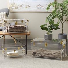 a living room with two clear boxes on the floor next to a couch and a potted plant