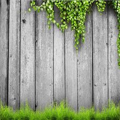 an old wooden fence covered in green ivy and daisies