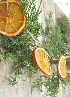 an orange cut in half sitting on top of a tree