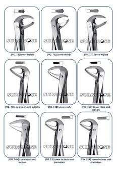 Dental Extraction Instruments, Dental Nurse Revision, Dental Tools Names, Dental Assistant Study Guide, Dental Charting, Dental Nursing, Dental Hygienist School, Dental Assistant Study, Dental Nurse