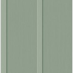 an image of a green door with two vertical panels on the front and back side