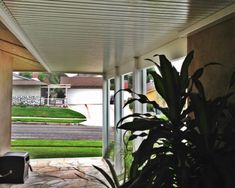 the back porch is covered with plants and grass