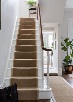 a stair case in a house with plants on the wall and potted plant next to it