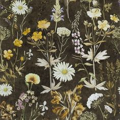 a painting of flowers on a black background with white, yellow and pink flowers in the center