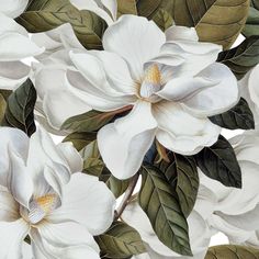 white flowers with green leaves on a white background