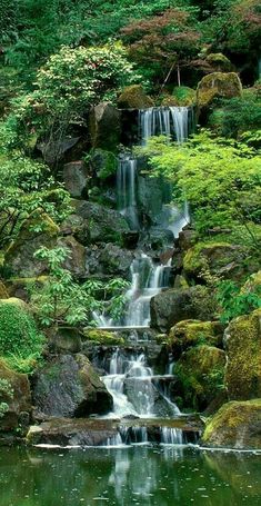 a small waterfall in the middle of a forest filled with lots of green plants and rocks