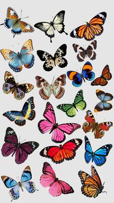 a group of butterflies flying in the air with different colors and sizes on their wings