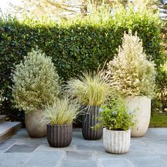 three cement planters sitting on top of a stone floor next to a green hedge