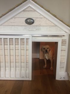 a dog is standing in the door to his house that has been built into the floor