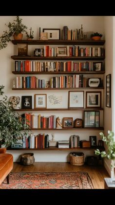 a living room filled with lots of books on shelves next to a plant and potted plants