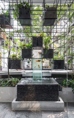 an indoor garden with plants and water features in the center, surrounded by metal grids