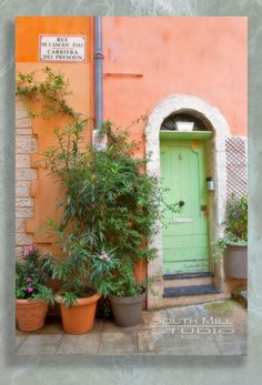 there is a green door and some potted plants in front of the building with orange walls