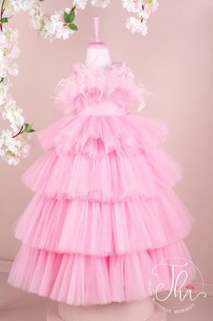 A sleeveless pink princess wedding dress. The dress has floor length skirt, satin top, and feathers on chest. Princess Style Sleeveless Evening Ball Gown, Sleeveless Organza Tutu Dress For Dress-up, Pink Summer Ball Gown, Pink Ball Gown Dresses For Summer, Sleeveless Tulle Princess Dress For Summer, Sleeveless Summer Tulle Princess Dress, Spring Ball Gown Tutu Dress For Dress-up, Tulle Dress With Ruffles For Dress-up, Sleeveless Organza Dress For Dress-up