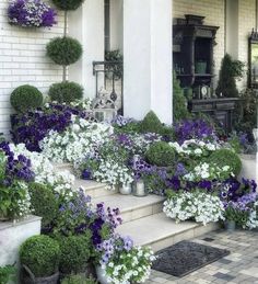 purple and white flowers are growing on the steps in front of a house with potted plants