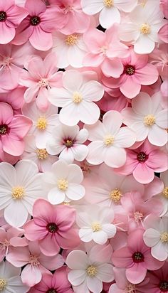 pink and white flowers are arranged together