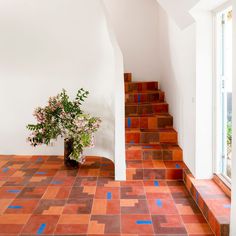 a potted plant sitting on top of a tiled floor next to a set of stairs