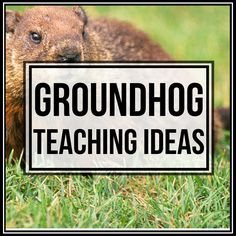 groundhog teaching ideas for kids