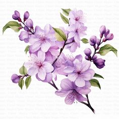 watercolor painting of purple flowers with green leaves