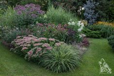 an assortment of plants and flowers in a garden area with green grass, shrubs, and trees