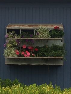 an old window box filled with flowers and greenery