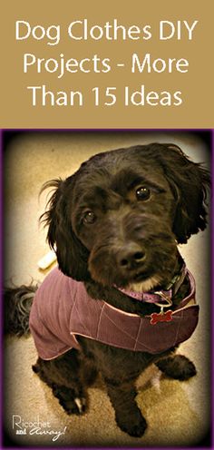 a black dog wearing a pink shirt with the words dog clothes diy projects - more than 1 5 ideas