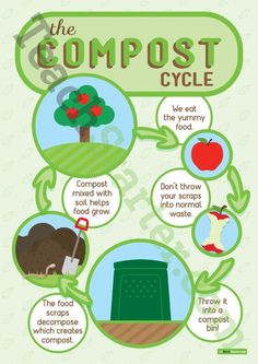 the composting cycle poster