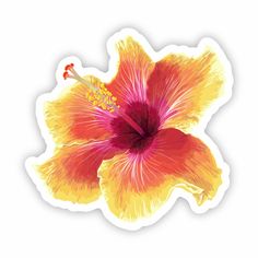 Hibiscus Sticker 3 Global Village Kailua Boutique Hydroflask Aesthetic Stickers, Nature Stickers Aesthetic, Flowers Stickers Aesthetic, Flowers Aesthetic Stickers, Hibiscus Flower Sticker, Hibiscus Sticker, Tropical Stickers, Hibiscus Drawing, Stickers To Print