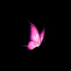 a pink butterfly flying in the dark