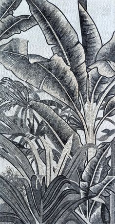 a black and white drawing of some plants