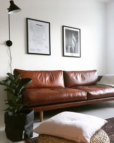 a brown leather couch sitting in a living room next to a plant and two pictures on the wall