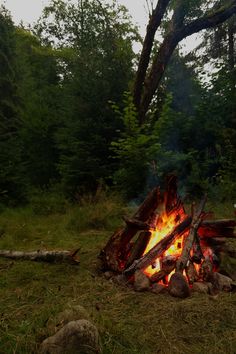 a campfire in the middle of a forest