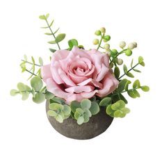 a pink rose and green leaves are in a black vase on a white background with space for text