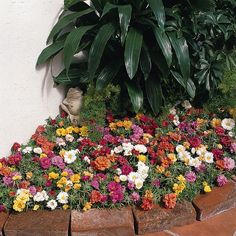 colorful flowers are growing on the edge of a brick planter