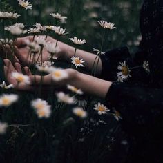 two hands touching each other with daisies in the foreground