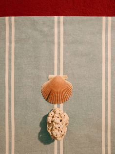 a sea shell on top of a blue and white striped table cloth next to a seashell