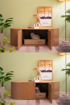 two pictures of a cat sitting in a box on top of a shelf next to a potted plant