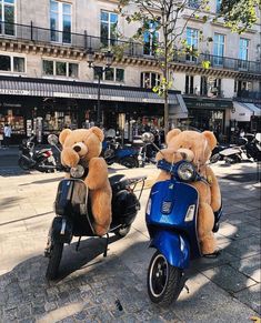 two teddy bears are sitting on mopeds in the street