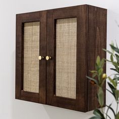 a wall mounted cabinet with two doors and some burlocks on the front, next to a potted plant