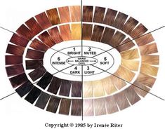 Irene Reiter. Definition of facial features on its theory and its color palette - beauty, inspired by nature Autumn Color Palette Fashion, Deep Autumn Color Palette, Soft Autumn Color Palette, Light Spring Colors, The Color Wheel, Hair Color Chart, Winter Typ, Hair Extentions, Seasonal Color Analysis