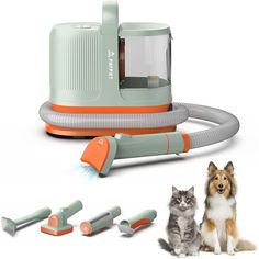 a dog and cat sitting next to a vacuum