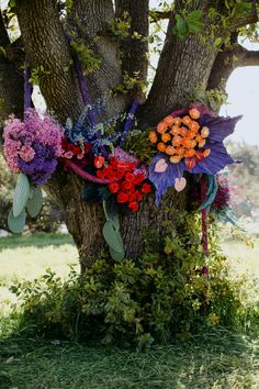 an arrangement of flowers is hanging from the trunk of a tree