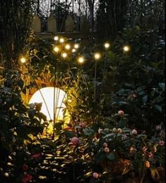 the lights are on in the garden at night