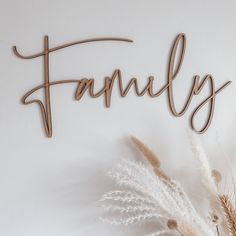 the word family spelled with wooden letters on a white wall next to dry grass and dried flowers