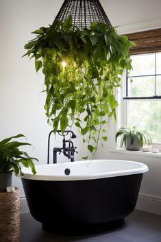 a bathtub with plants hanging from the ceiling